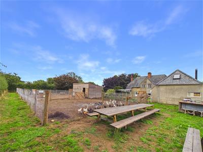 Picture 30